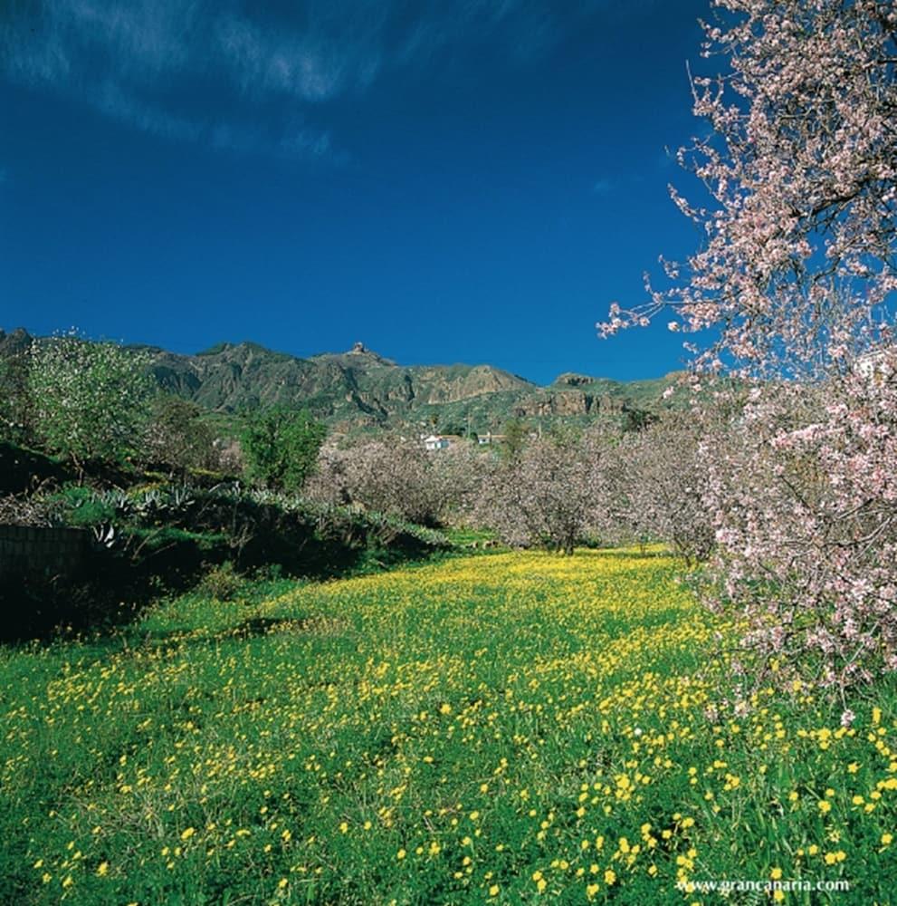 Готель Cortijo San Ignacio El Cortijo  Екстер'єр фото