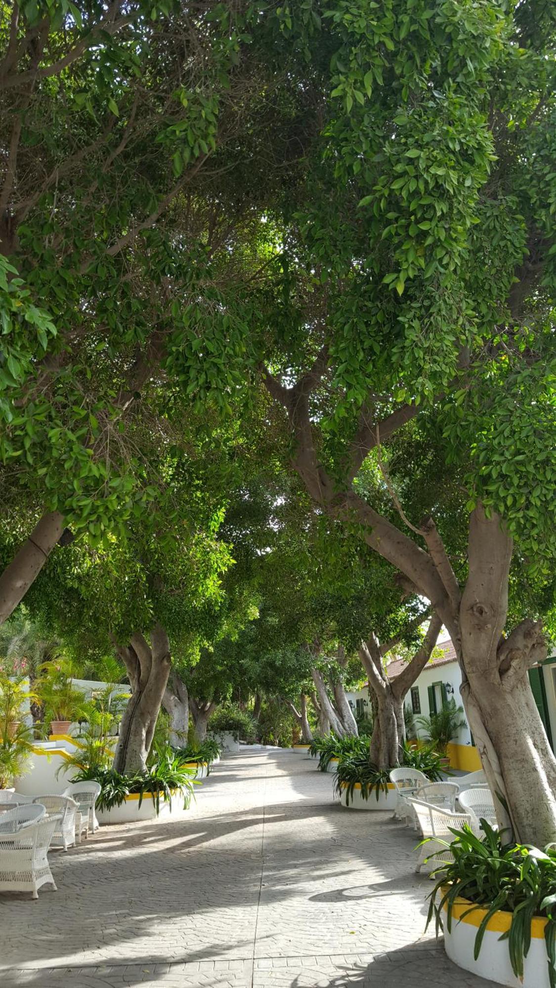 Готель Cortijo San Ignacio El Cortijo  Екстер'єр фото