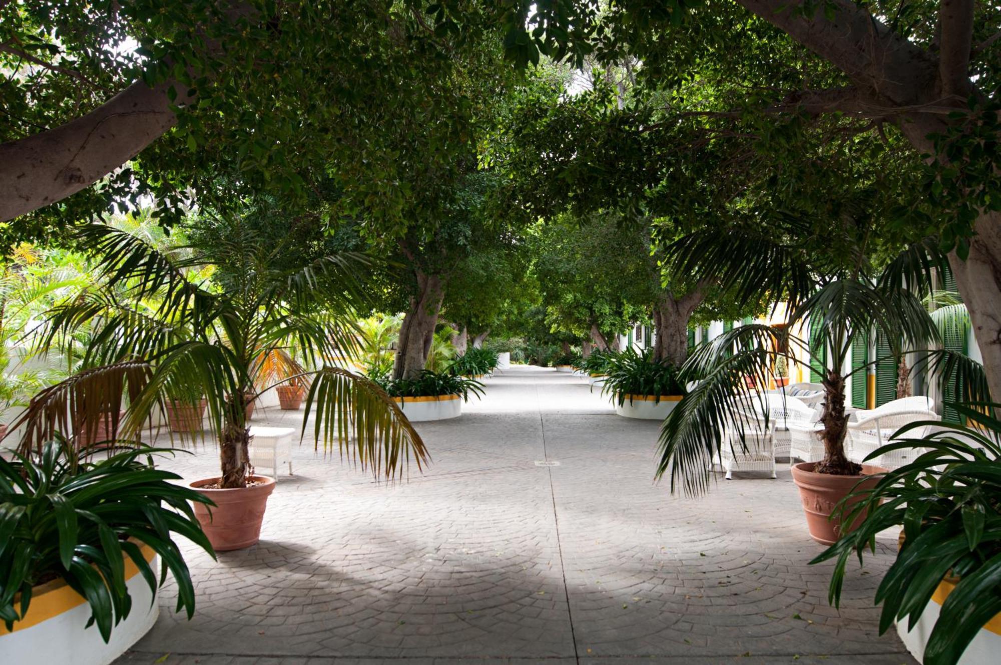 Готель Cortijo San Ignacio El Cortijo  Екстер'єр фото